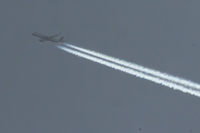 G-LCYJ